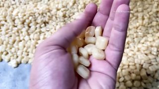 Amazing Candy Making Skill _ Mass Production of Homemade Candy Factory In Pakistan _ Candy Factory