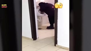 TOTAL IDIOTS AT WORK 9