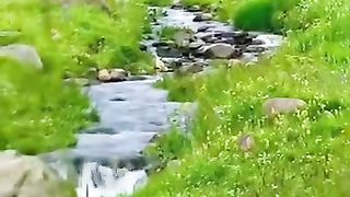 ????️الشیخ ماھر المعیقلی???? 2