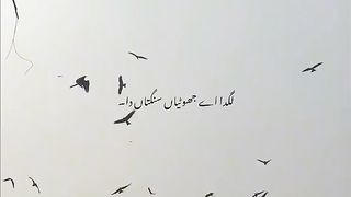Aik dam sy