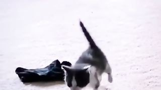 Funny action 63