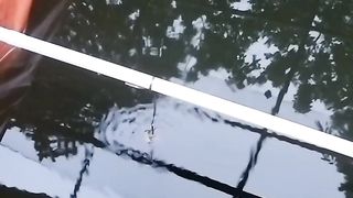 Satu bukti bahwa budidaya lele WAJIB sortir❗Jika tidak, ya begini hasilnya