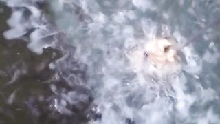 Penampakan LARVA LELE umur 10 hari sedang makan BAKSO PASTA