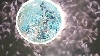 Pemberian pakan PASTA pada malam hari, larva lele lebih lahap makan