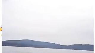 OMG BIG WHALE