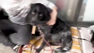 This guy has a big heart