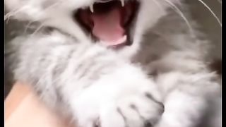 Funny action 69