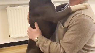 La reactions des chiens sont incroyable