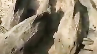 SUBHAN ALLAH 5