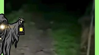 Filmagens Perturbadoras de uma Criatura Sinistra!