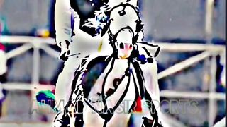 #febspot#foryou #foryoupage#horses#ridings#vedio83#ahmad#nasir#sports#fyb#fybpage fybpage#chak#no168/171NB