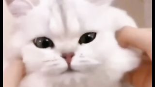 Funny action 72