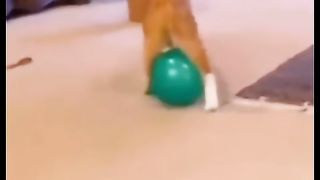 Funny action 74