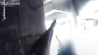 New viral video/palastine mujahideen