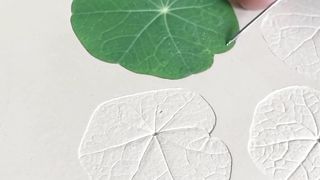 Fine Art Work