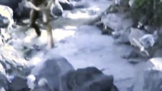 Scary real footages found do you know this creature?