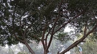 The most incredible nature and beauty view for yoga practice ????