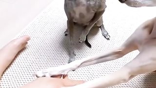 Don't miss this video 3