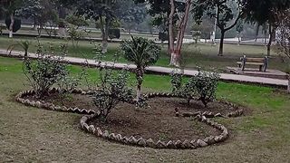 The most remarkable nature and beauty view for meditation ????