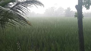 Hujan 8