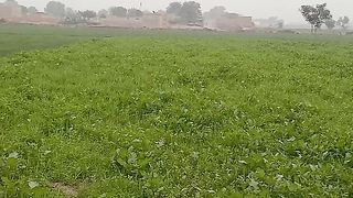 سہانا موسم اور سبزہ