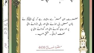 اسلامی معلومات Like share follow 360