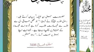 اسلامی معلومات Like share follow 363