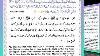 اسلامی معلومات Like share follow 368