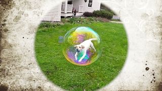 Perfectly Timed Photos That Will Make You Look Twice