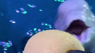 Fish wow