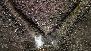 Heart love 2