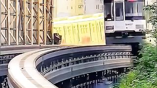 أنه كوكب الصين