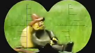 Stop laughing if you can