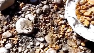 Grains of gold among the pebbles