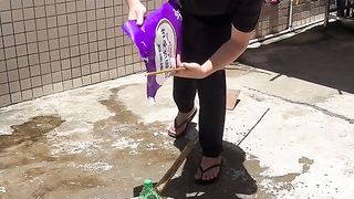 Funny video 2024