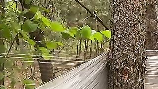 ????????????#camping #survival #bushcraft #outdoors