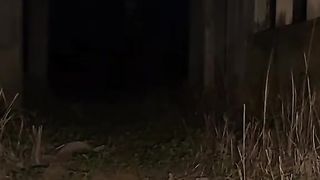 Pocong 2