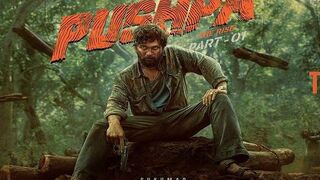 PUSHPA The Rise South Indian Hindi Dubed Movie