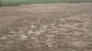 Empty field