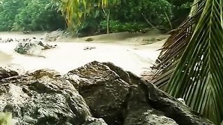 Jurassic Park 4