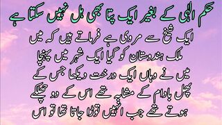Hukume ilahi k beger aek Patta b hil nhi sakta | حکم الٰہی کے بغیر ایک پتابھی ہل نہیں سکتاہے