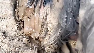 said video