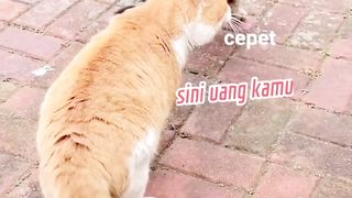 Mpuuuus Oyen Minta Jatah Preman