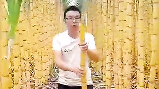 How to amazing ???? birthday ???? video car tyy