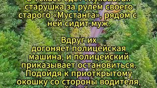 Анекдот про встречу глухой старушки с полицейским