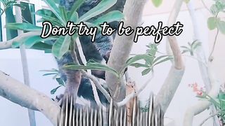 Self-reminder