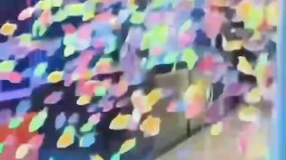 Какие красивые рыбы ????????????????