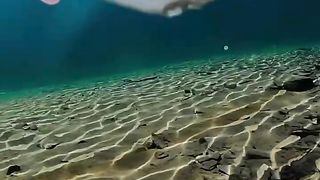 What it looks like under alpine lakes in Alaska 2