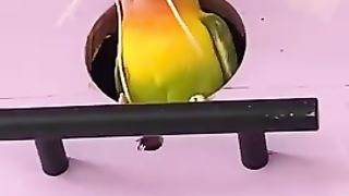 Disfrutando de la belleza y el sonido ????????????????