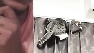 Funny_animals_2023????_-_Funniest_Cats_and_Dogs_Video????????268_#shorts(360p). 2
